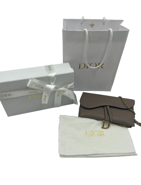 Christian Dior Long Saddle Wallet with Chain