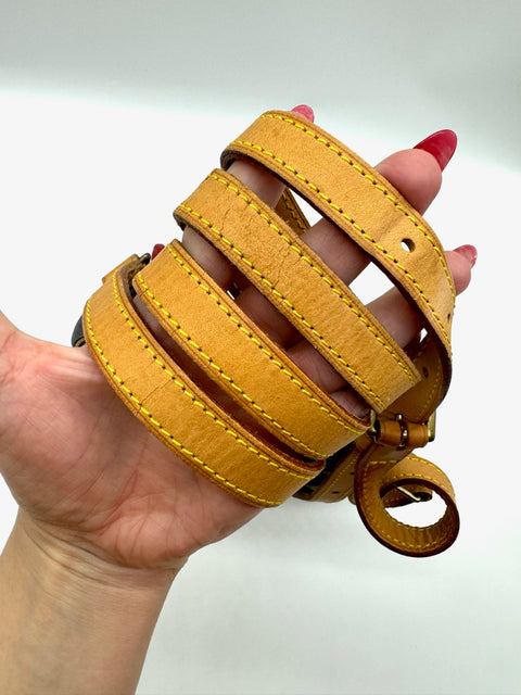Louis Vuitton Sac Tambourine Crossbody Bag