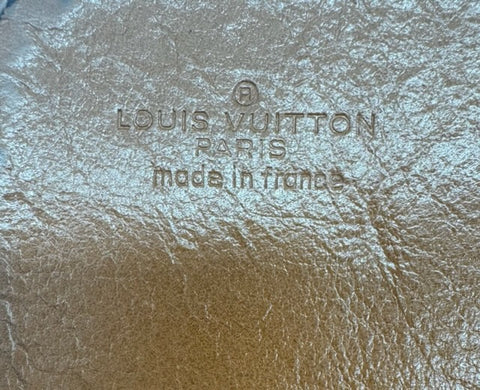Louis Vuitton Cartesier Crossbody Bag