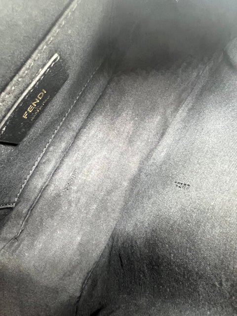 Fendi Zucca Camera Bag