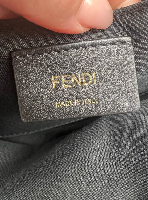 Fendi Zucca Camera Bag