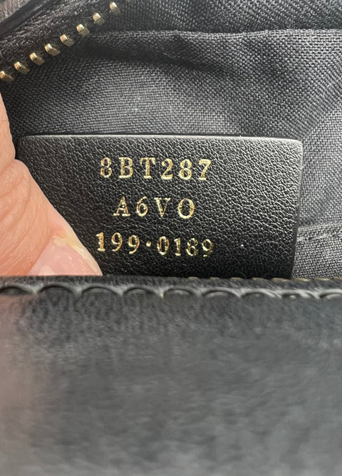 Fendi Zucca Camera Bag