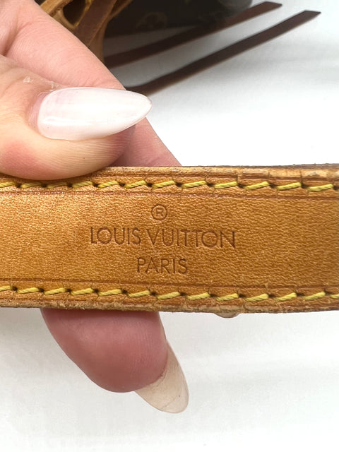 Louis Vuitton Noe Shoulder Bag