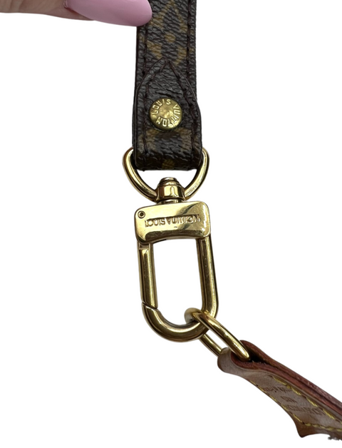 Louis Vuitton Pochette Accessories with Long Strap