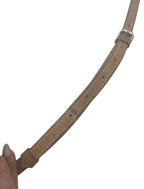 Louis Vuitton Monogram Trocadero Crossbody Bag