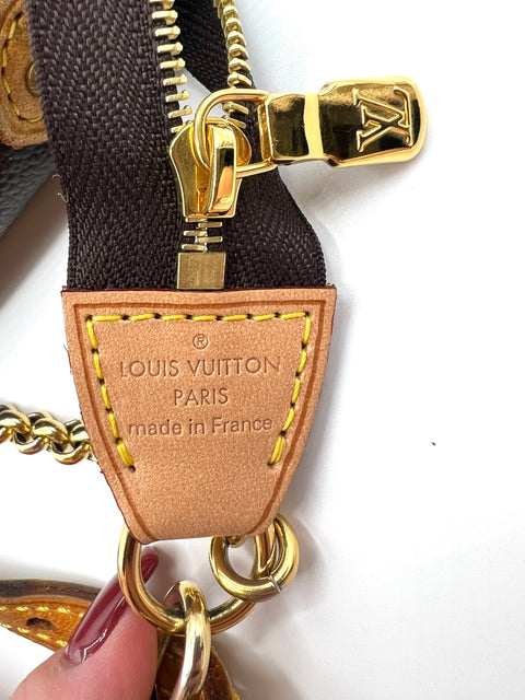 Louis Vuitton Eva Pochette Bag