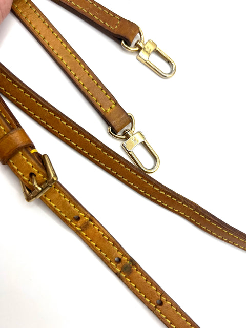 Louis Vuitton Eva Pochette Bag