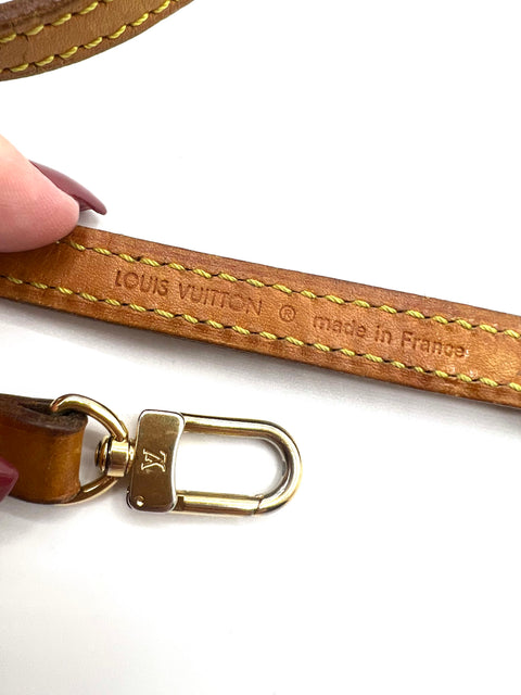 Louis Vuitton Eva Pochette Bag