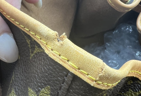 Louis Vuitton Montsouris GM