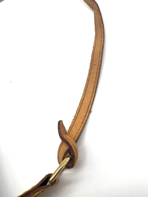 Louis Vuitton Pochette Accessories