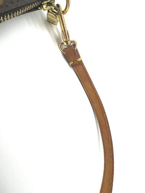 Louis Vuitton Pochette Accessories