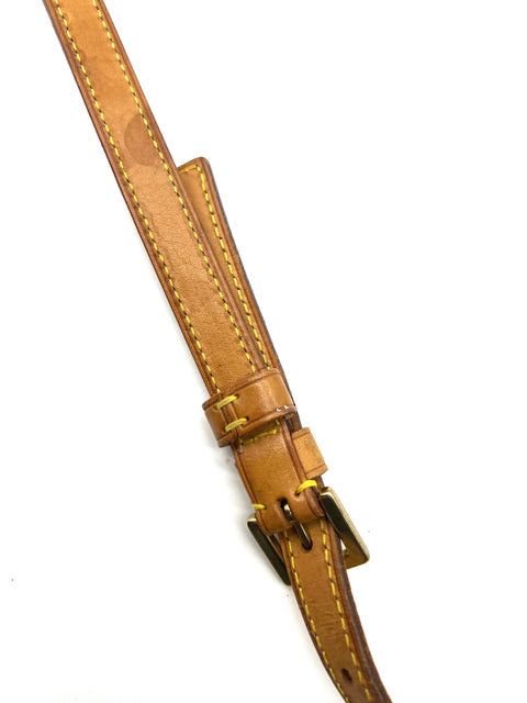 Louis Vuitton Trotteur Crossbody Bag
