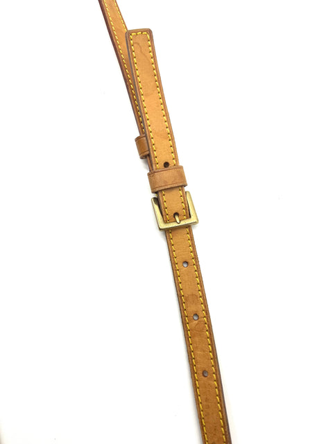 Louis Vuitton Trotteur Crossbody Bag