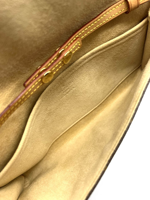 Louis Vuitton Twin Pochette GM