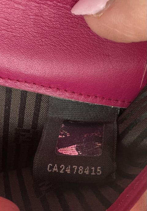Fendi Wallet on Chain